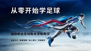 意甲球员身价大幅下滑 莱奥与卢卡库引关注